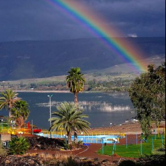 rainbowette